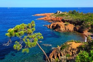 Esterel Coastline