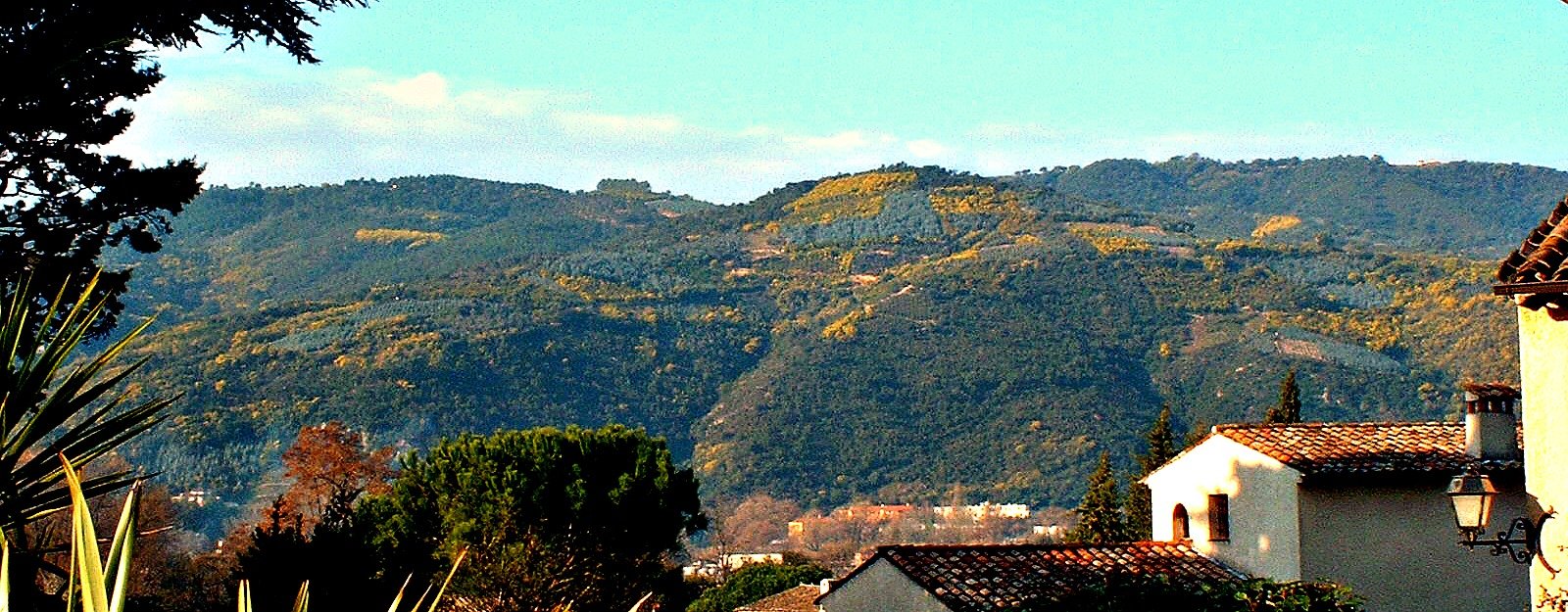 Villa Carpe Diem Views Over Esterel Hills